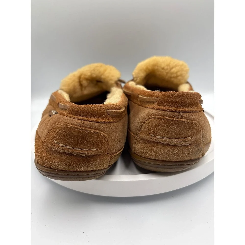 L.L. Bean bean wicked